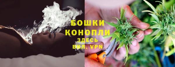 мяу мяу мука Куйбышев