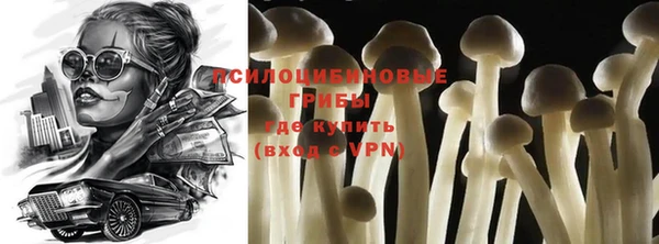 мяу мяу мука Куйбышев