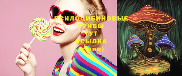 мяу мяу мука Куйбышев