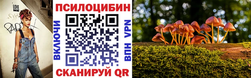 как найти Усть-Катав Галлюциногенные грибы мицелий